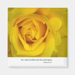 Gele Rose Magneet