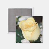 Gele Rose Magneet (Voorkant / Achterkant)