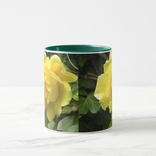 Gele Rose Mok (Midden)