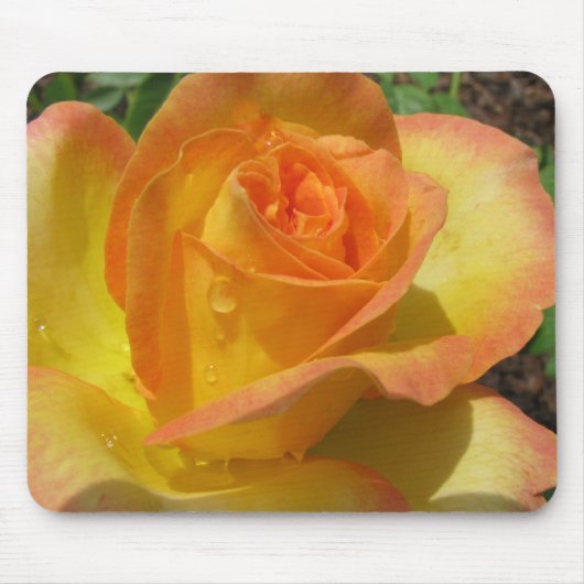 Gele Rose Muismat (Voorkant)