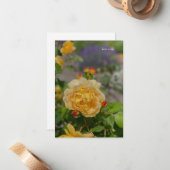 Gele Rose Notitiekaartje (Voorkant / Achterkant in situ)