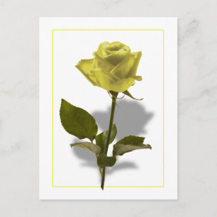 Gele Rose of Friendship Briefkaart