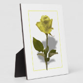 Gele Rose of Friendship Fotoplaat (Zijkant)