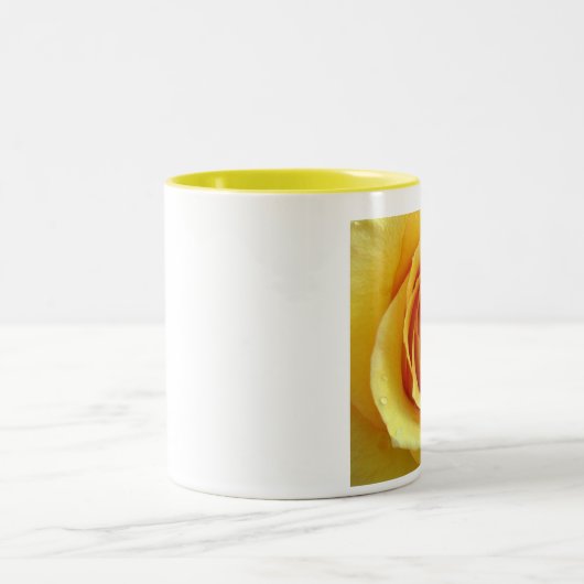 Gele Rose of Texas Mok (Center)