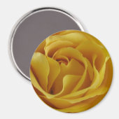 Gele Rose Petals 3-inch Ronde Magnet (Voorkant / Achterkant)
