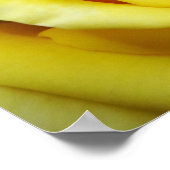 Gele Rose Poster (Hoek)