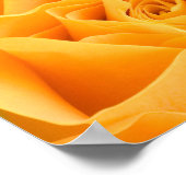Gele Rose Poster (Hoek)