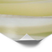 Gele Rose Poster Print (Hoek)