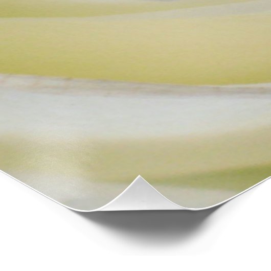 Gele Rose Poster Print (Hoek)