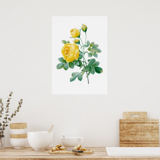  Gele Rose Print door Redouté (Keuken)