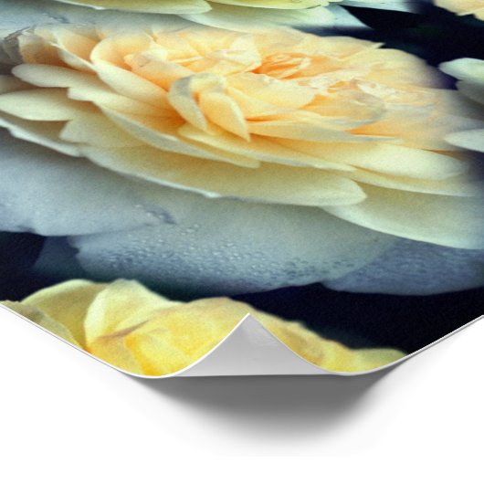 Gele Rose Raindrops Floral Abstract Poster (Hoek)