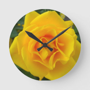 Gele Rose Ronde Klok