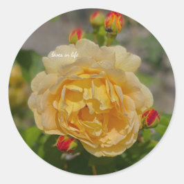 Gele Rose Ronde Sticker