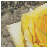 Gele Rose Stof (Close Up)