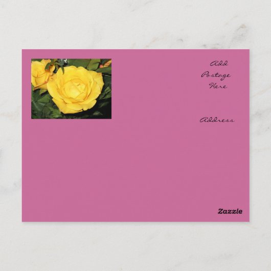 Gele Rose Sun Briefkaart (Achterkant)