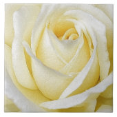 Gele Rose Tegeltje (Voorkant)