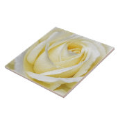 Gele Rose Tegeltje (Zijkant)