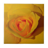 Gele Rose Tegeltje (Voorkant)