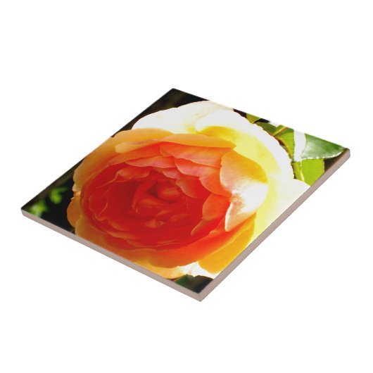 Gele Rose Tegeltje (Zijkant)