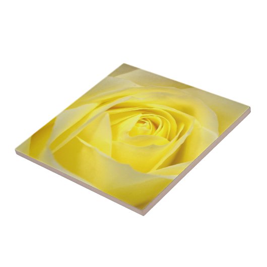 Gele Rose Tegeltje (Zijkant)