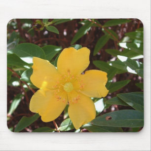 Gele Rose van Sharon Mousepad Muismat