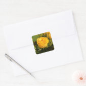 Gele Rose Vierkante Sticker (Envelop)