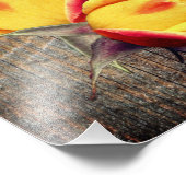 Gele rosebud bloemen op barnboard 8x10 foto afdruk (Hoek)