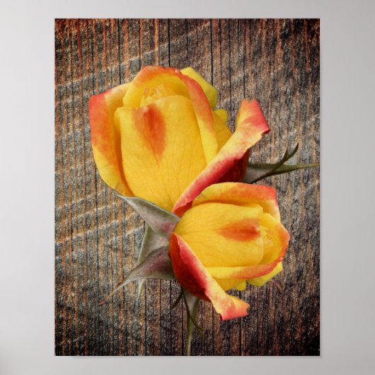 Gele rosebud bloemen op het bord poster (Voorkant)
