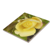 Gele Rosebud-keramische Tegel Tegeltje (Zijkant)