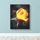 Gele rosebud met rode hooglichten canvas afdruk (Insitu (Houten vloer))