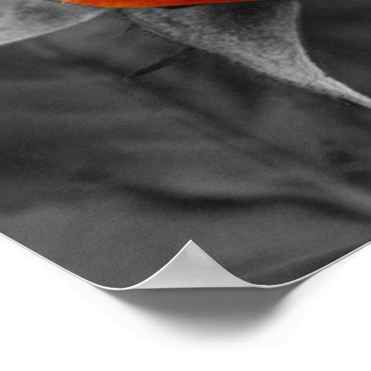 Gele Rosebud Partiële kleur Poster (Hoek)