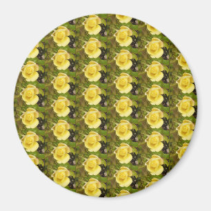 Gele rosebuds Magnet
