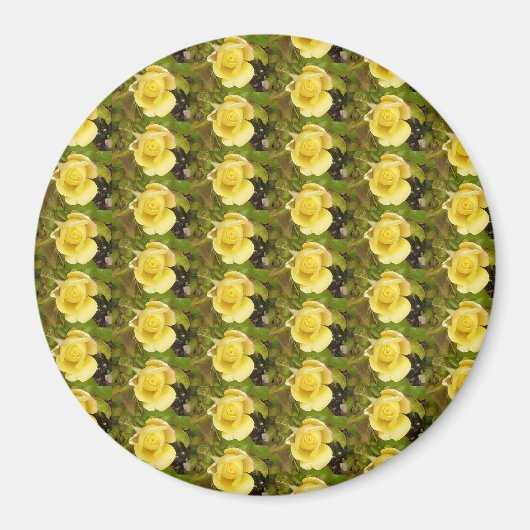 Gele rosebuds Magnet (Voorkant)