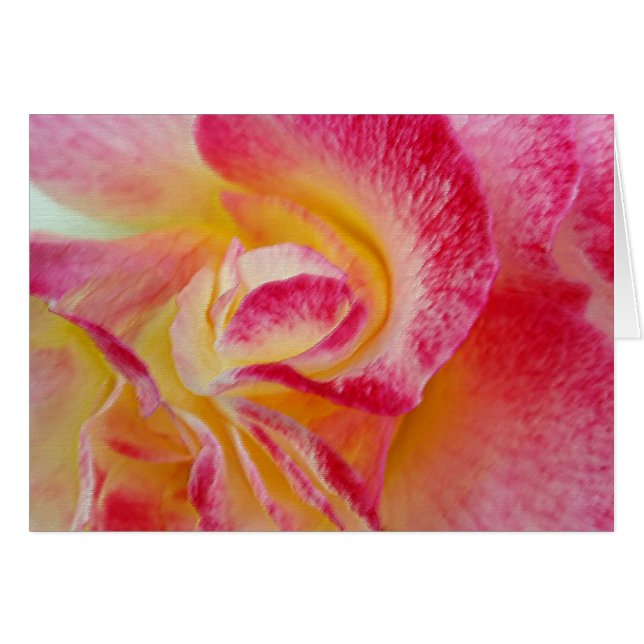 gele roze bladen (Voorkant Horizontaal)