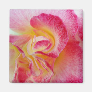 gele roze bladen magneet