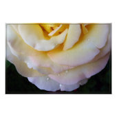 Gele roze bladen perfect poster (Voorkant)