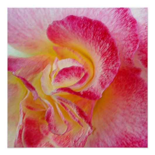 gele roze bladen poster (Voorkant)