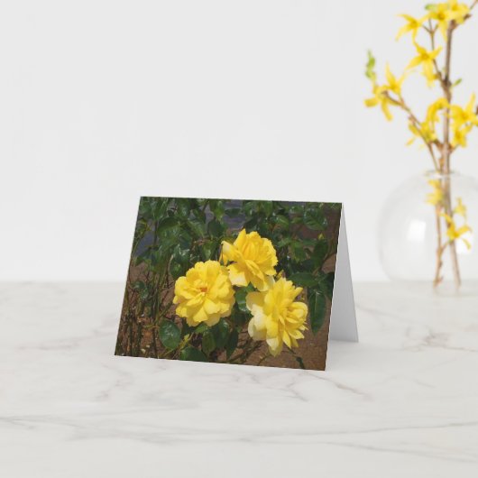 Gele roze blanco kaart (Gele Bloem)