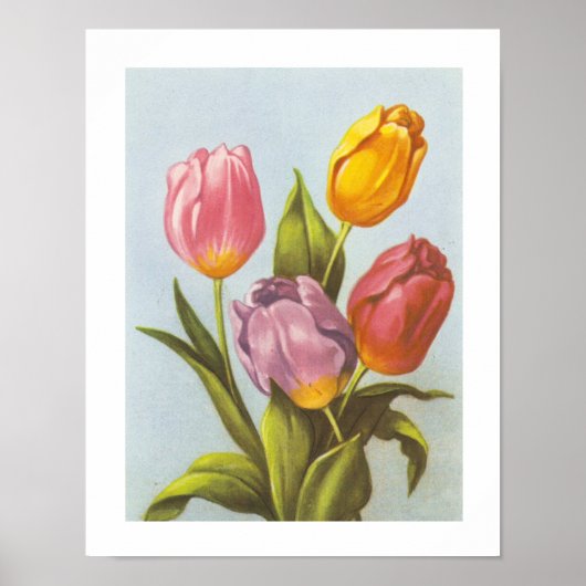  gele, roze en Paarse Tulpen Poster (Voorkant)