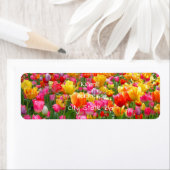 Gele roze oranje rode tulpen etiket (Insitu)