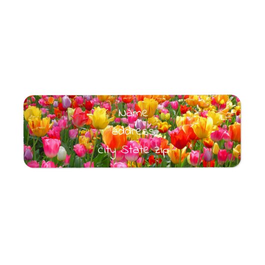 Gele roze oranje rode tulpen etiket (Voorkant)
