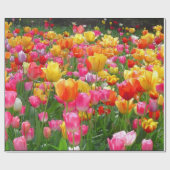 Gele roze oranje tulpen cadeaupapier (Vlak)