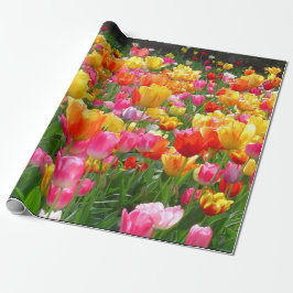 Gele roze oranje tulpen cadeaupapier