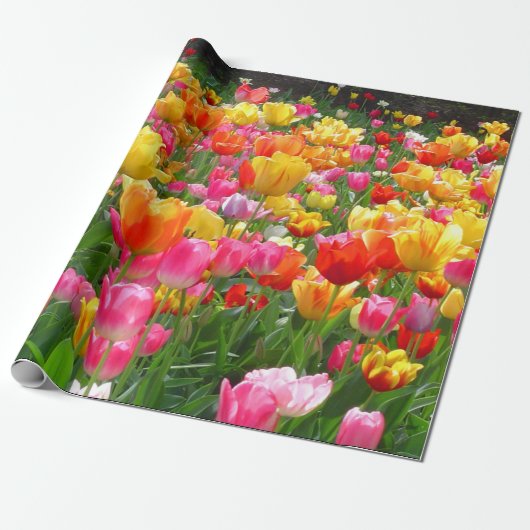 Gele roze oranje tulpen cadeaupapier (Uitgerold)