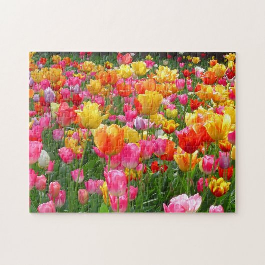 Gele roze oranje tulpen legpuzzel (Horizontaal)