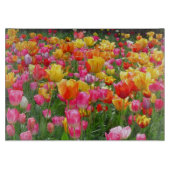 Gele roze oranje tulpen snijplank (Voorkant)
