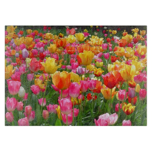 Gele roze oranje tulpen snijplank (Voorkant)
