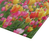 Gele roze oranje tulpen snijplank (Hoek)