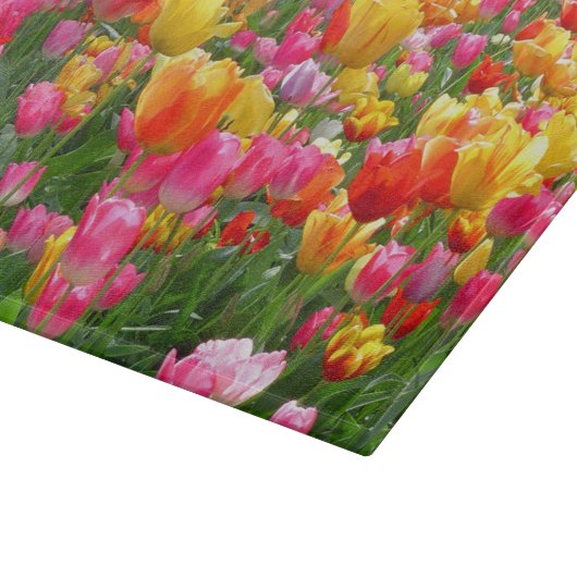 Gele roze oranje tulpen snijplank (Hoek)