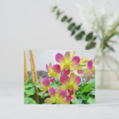 Gele roze orchideeën briefkaart (Staand voorkant)